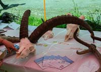 IMG_0038-2
