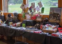 IMG_0451